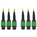 Eaton Tripp Lite Series 40/100G Singlemode 9/125 OS2 Fiber Optic Cable (3x8F MTP/MPO-APC F/F), LSZH, Yellow, 30 m (98 ft.)