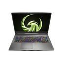 MSI Alpha 17 A4DEK-011 17.3" Gaming Notebook - Full HD - AMD Ryzen 7 4800H - 16 GB - 1 TB SSD - Aluminum Black