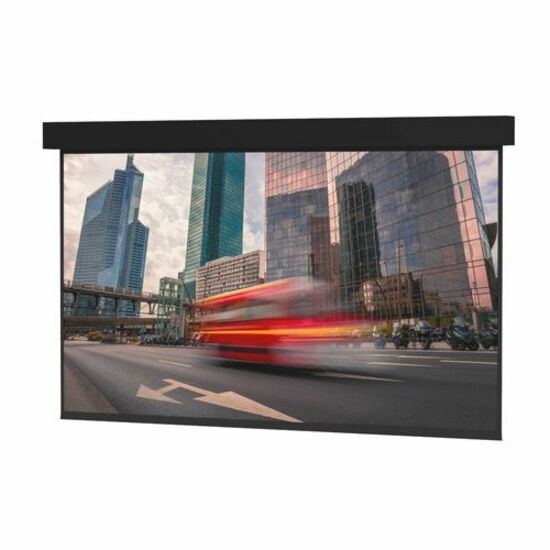 Da-Lite Professional Electrol Series Projection Screen - Ceiling-Recessed Electric Screen w/ Wooden Case - 250in Screen