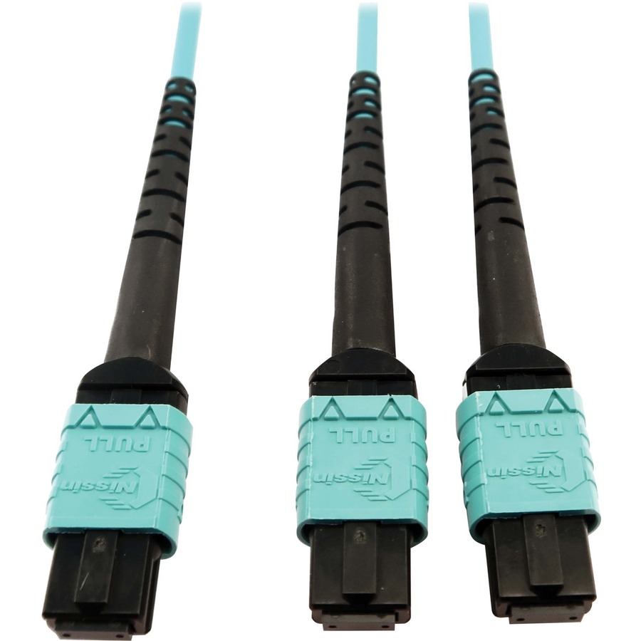 Eaton Tripp Lite Series 400G Multimode 50/125 OM4 Plenum Fiber Optic Cable, 24F MTP/MPO-PC to (x2) 12F MTP/MPO-PC (F/F), Aqua, 5 m