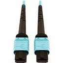 Eaton Tripp Lite Series 400G Multimode 50/125 OM4 Plenum-Rated Fiber Optic Cable, 24F MTP/MPO-PC (F/F), Aqua, 10 m