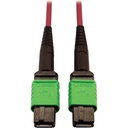 Eaton Tripp Lite Series 400G Multimode 50/125 OM4 Plenum-Rated Fiber Optic Cable, 16F MTP/MPO-APC (F/F), Magenta, 5 m