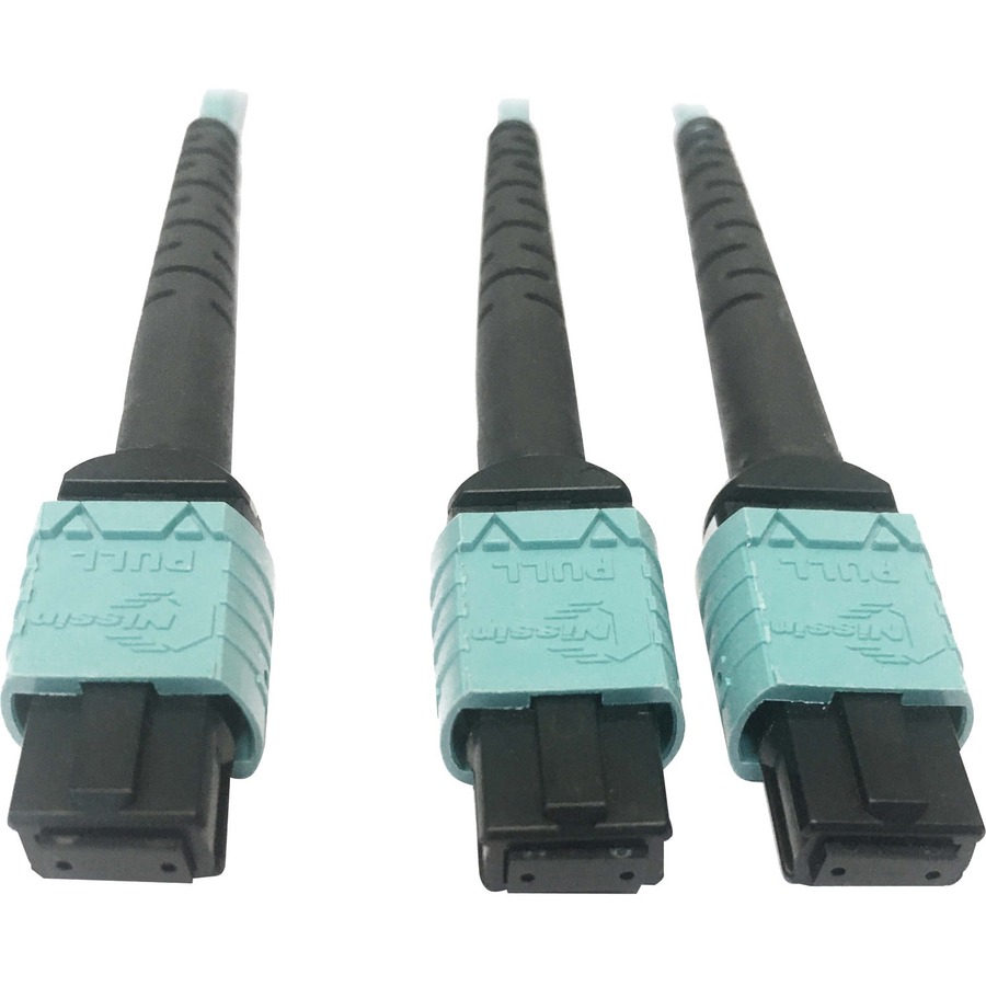 Eaton Tripp Lite Series 400G Multimode 50/125 OM4 Plenum Fiber Optic Cable, 24F MTP/MPO-PC to (x2) 12F MTP/MPO-PC (F/F), Aqua, 3 m