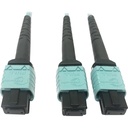 Eaton Tripp Lite Series 400G Multimode 50/125 OM4 Plenum Fiber Optic Cable, 24F MTP/MPO-PC to (x2) 12F MTP/MPO-PC (F/F), Aqua, 3 m