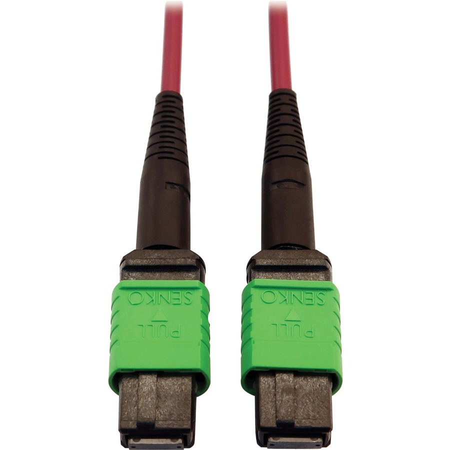 Eaton Tripp Lite Series 400G Multimode 50/125 OM4 Plenum-Rated Fiber Optic Cable, 16F MTP/MPO-APC (F/F), Magenta, 1 m