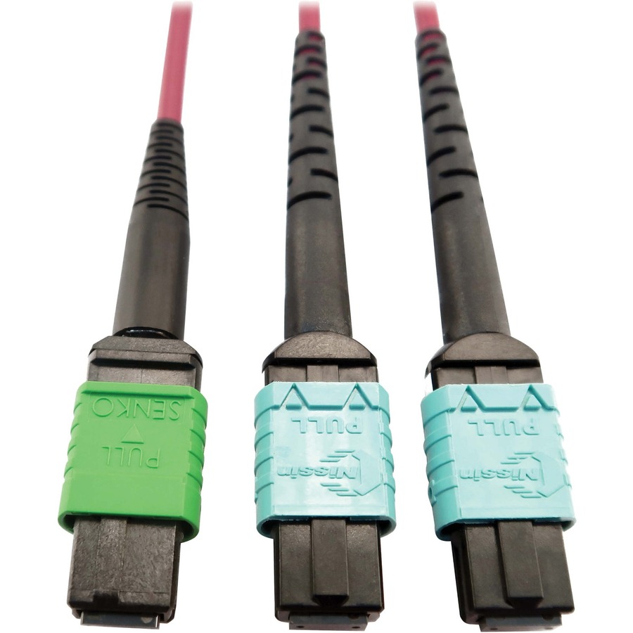Eaton Tripp Lite Series 400G Multimode 50/125 OM4 Plenum Fiber Optic Cable, 16F MTP/MPO-APC to (x2) 12F MTP/MPO-UPC (F/F), Magenta, 1 m