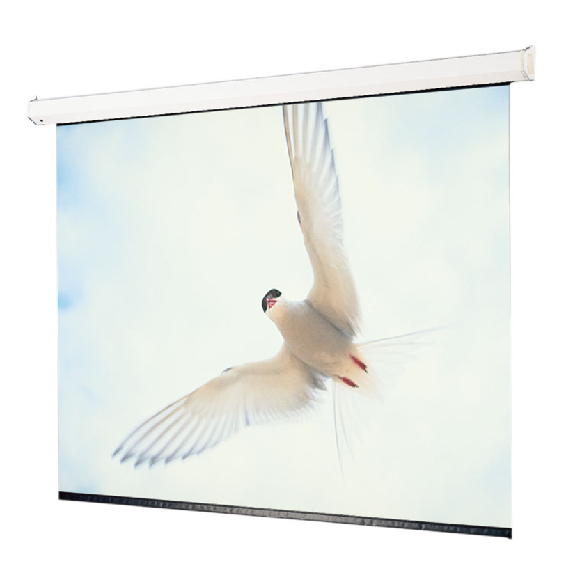 Draper Targa 116193 Electrol Projection Screen