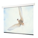Draper Targa 116193 Electrol Projection Screen