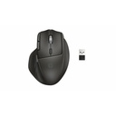 HP Ultra-Fast-Scroll Wireless Mouse 785M (B8YX4AA)