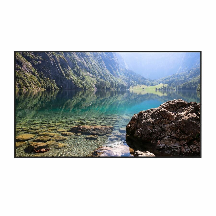 Hisense 55WH80F 55" Window Facing - High Brightness Display