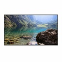 Hisense 55WH80F 55" Window Facing - High Brightness Display