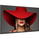 Philips Signage Solutions D-Line Display