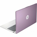 HP 17-cn3000 17-cn3143ds 17.3" Touchscreen Notebook - HD+ - Intel Core N-series N100 - 4 GB - 128 GB Flash Memory - Winter Lavender, Natural Silver