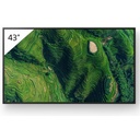 Sony Pro BRAVIA FW-43BZ35P Digital Signage Display