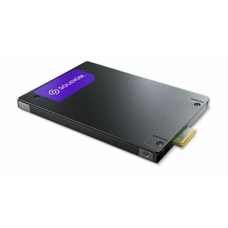 SOLIDIGM D7-PS1010 3.84 TB Solid State Drive - E3.S Internal - PCI Express NVMe (PCI Express NVMe 5.0 x4)
