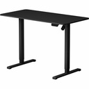 FlexiSpot EC2 48" Wide Electric Rectangular Adjustable Standing Desk, Black