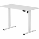 FlexiSpot EC2 48" Wide Electric Rectangular Adjustable Standing Desk, White