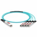 Accortec Fiber Optic Network Cable