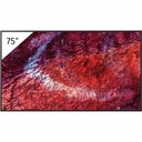 Sony Pro Bravia FW-75BZ40P Digital Signage Display