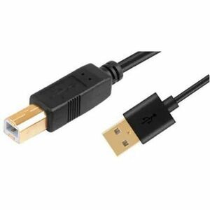 Bull Creek USB-A to USB-B 10' USB 2.0 (M/M) / USB-A to USB-B - Printer & Peripheral Cable