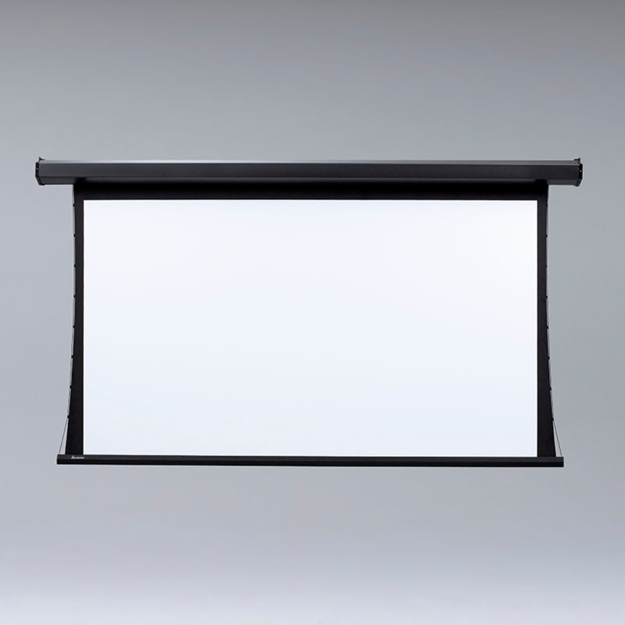 Draper Premier 123" Projection Screen