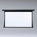 Draper Premier 123" Projection Screen