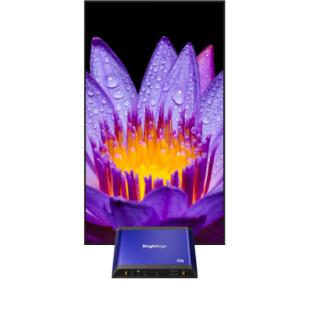 BrightSign XD235 Digital Signage Appliance