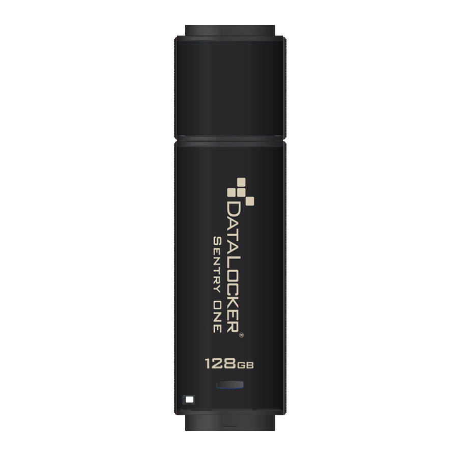 DataLocker Sentry ONE Encrypted Flash Drive
