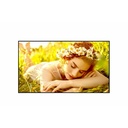 LG 65UL5Q-M Digital Signage Display