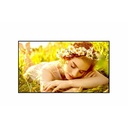 LG 55UL5Q-M Digital Signage Display