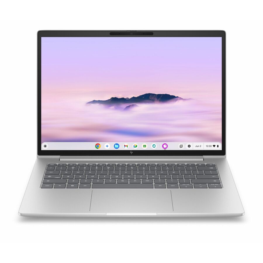 HP Elite 6 G2i 14" Chromebook - WUXGA - Intel Core 3 Series 1 100U - 8 GB - 128 GB Flash Memory - English Keyboard - Pike Silver Aluminum