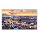 Samsung VH55C-E Digital Signage Display