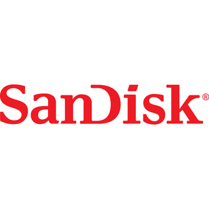 SanDisk SDSSDE31-500G-G25 500 GB Portable Solid State Drive - External