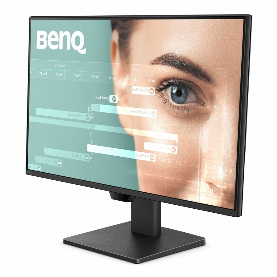 BenQ GW2490P 24" Class Full HD LED Monitor - 16:9