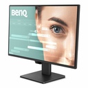 BenQ GW2490P 24" Class Full HD LED Monitor - 16:9