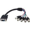 StarTech 1 ft Coax HD15 VGA to 5 BNC RGBHV Monitor Cable