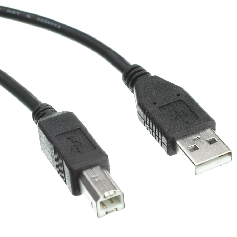 Accortec USB 2.0 Type-A to Type-B Cable M/M 10ft