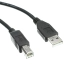 Accortec USB 2.0 Type-A to Type-B Cable M/M 10ft