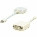 Unirise DisplayPort A/V Cable - 6.50" DisplayPort A/V Cable for Audio/Video Device - First End: Mini DisplayPort Digital Audio/Video - Male - Second End: DVI Digital Video - Female - White
