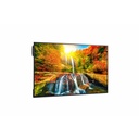 Sharp 43" Ultra High Definition Commercial Display