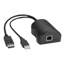 Black Box DCX Server Access Module - DisplayPort + USB