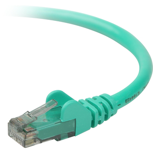 Belkin Cat. 6 UTP Patch Cable - RJ-45 Male - RJ-45 Male - 1ft - Green