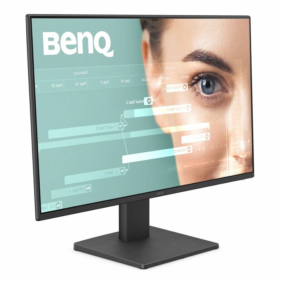 BenQ GW2491 24" Class Full HD LED Monitor - 16:9