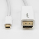 Rocstor Premium 3ft / 1m USB Type C to DisplayPort Cable