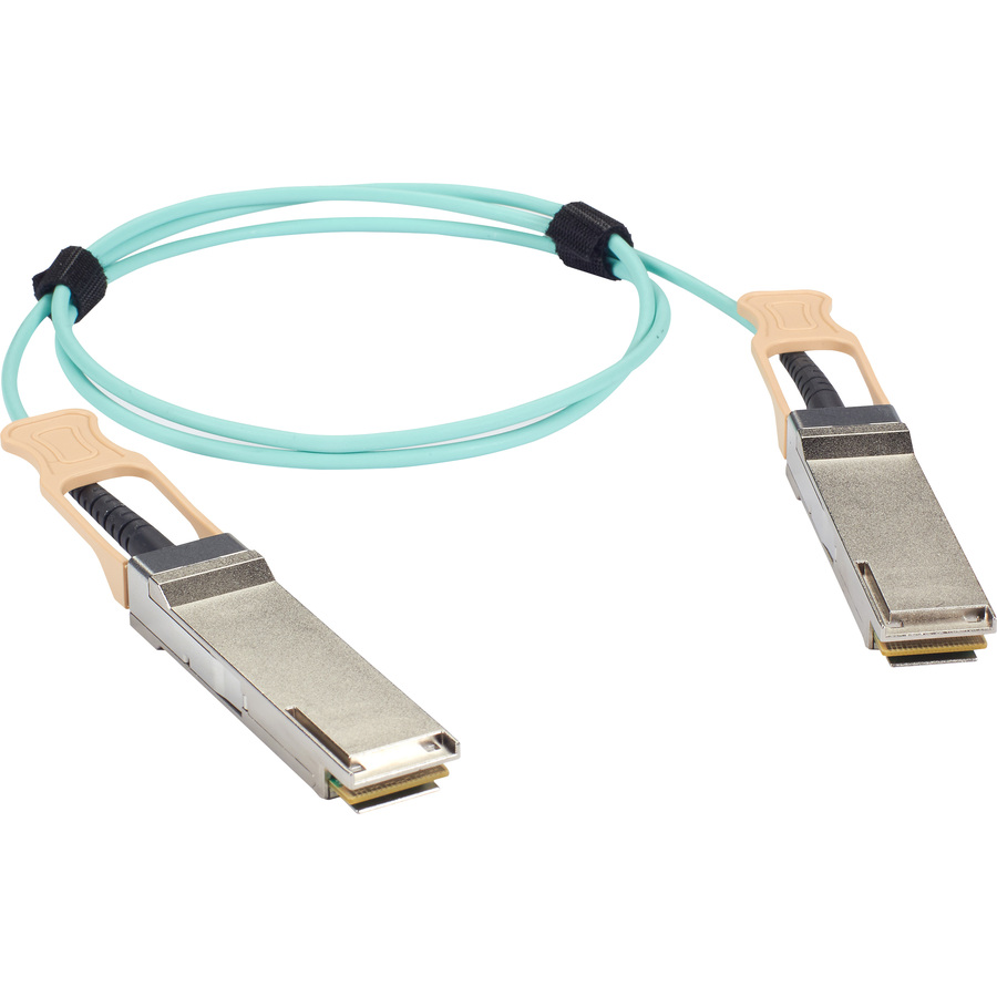 Black Box Fiber Optic Network Cable - 9.80 ft Fiber Optic Network Cable for Switch, Router, Server, Network Device - First End: 1 x QSFP28 Network - Male - Second End: 1 x QSFP28 Network - Male - 100 Gbit/s - LSZH - Aqua