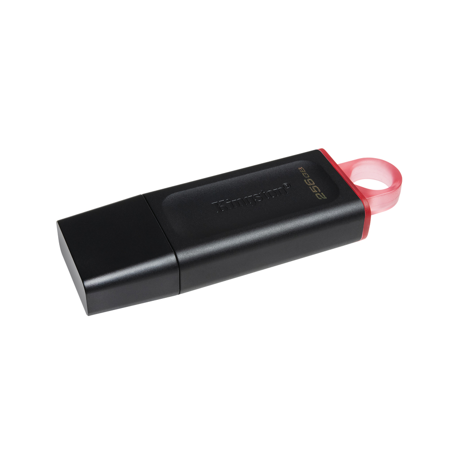 Kingston DataTraveler Exodia 256GB USB 3.2 (Gen 1) Type A Flash Drive