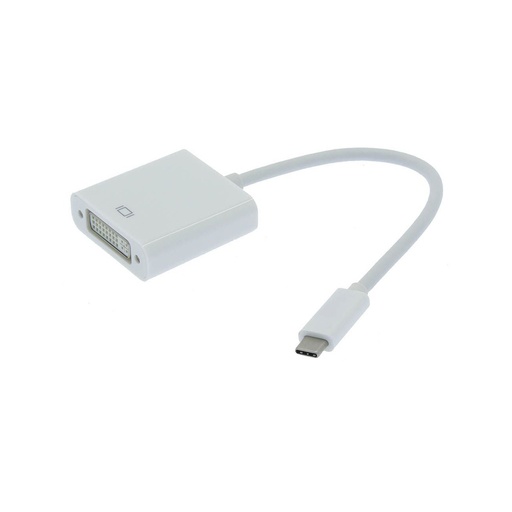 A white adapter cable features a DVI-I port on one end and a USB-C connector on the other, displayed on a white background.