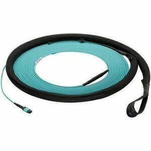 Panduit Fiber Optic Trunk Network Cable - 75 ft Fiber Optic Network Cable for Network Device - First End: 1 x PanMPO Network - Female - Second End: 1 x PanMPO Network - Female - 100 Gbit/s - Trunk Cable - OFNP - 9/125 &micro;m