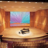 Draper Paragon E 300" Projection Screen
