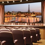 Draper Paragon V 324" Projection Screen
